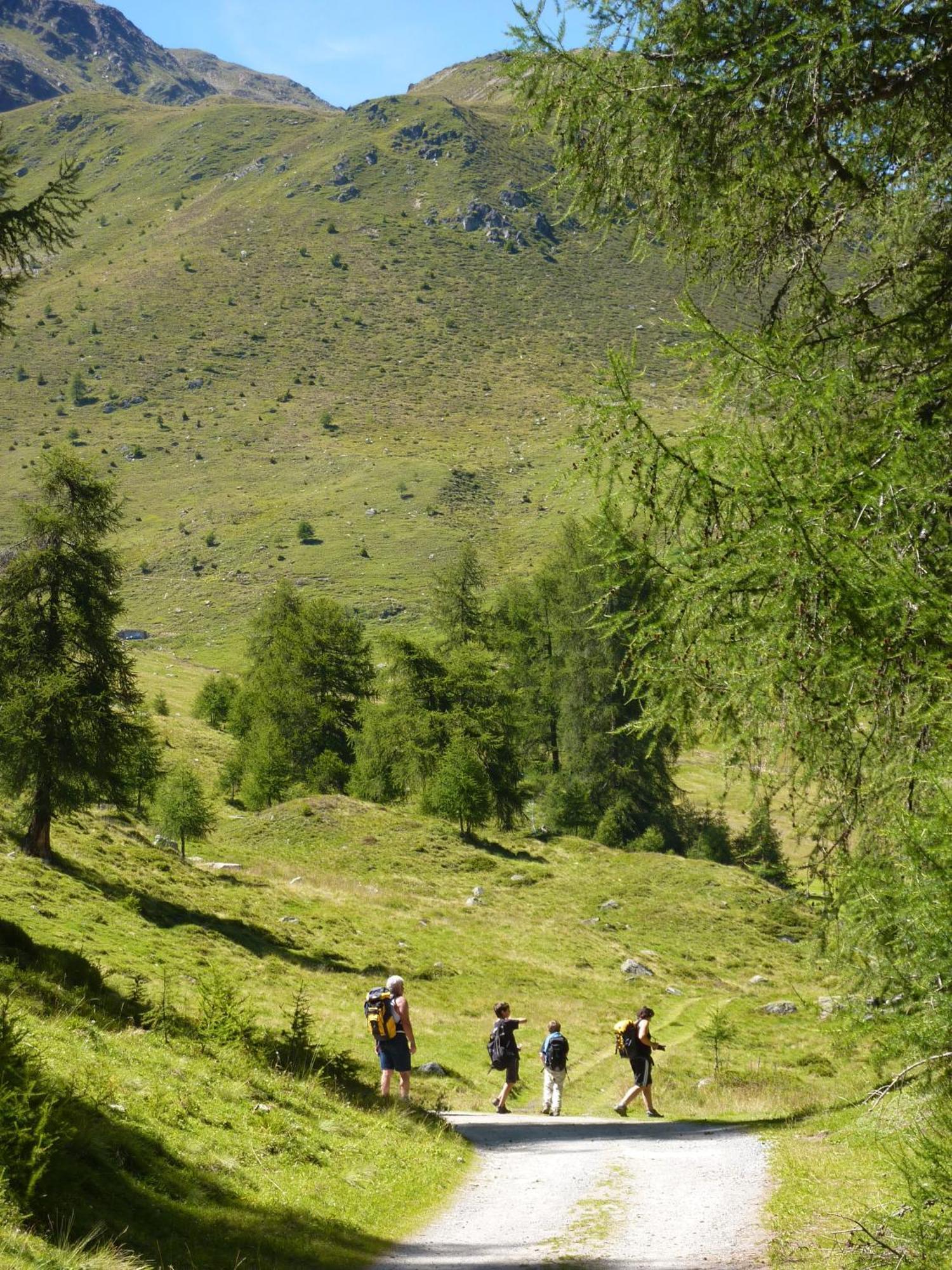 Hotel Stilfserhof Екстериор снимка